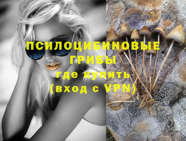 прущий лед Инсар