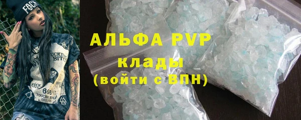 прущий лед Инсар