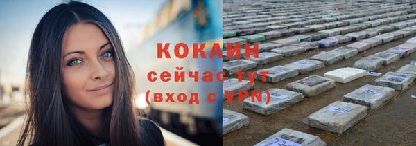прущий лед Инсар
